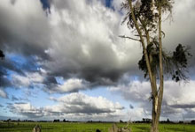 天涯神贴排行榜：那些神帖看你怎么笑与吐槽